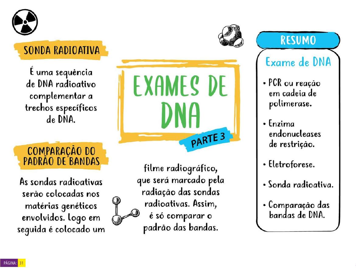 Mapa mental 2