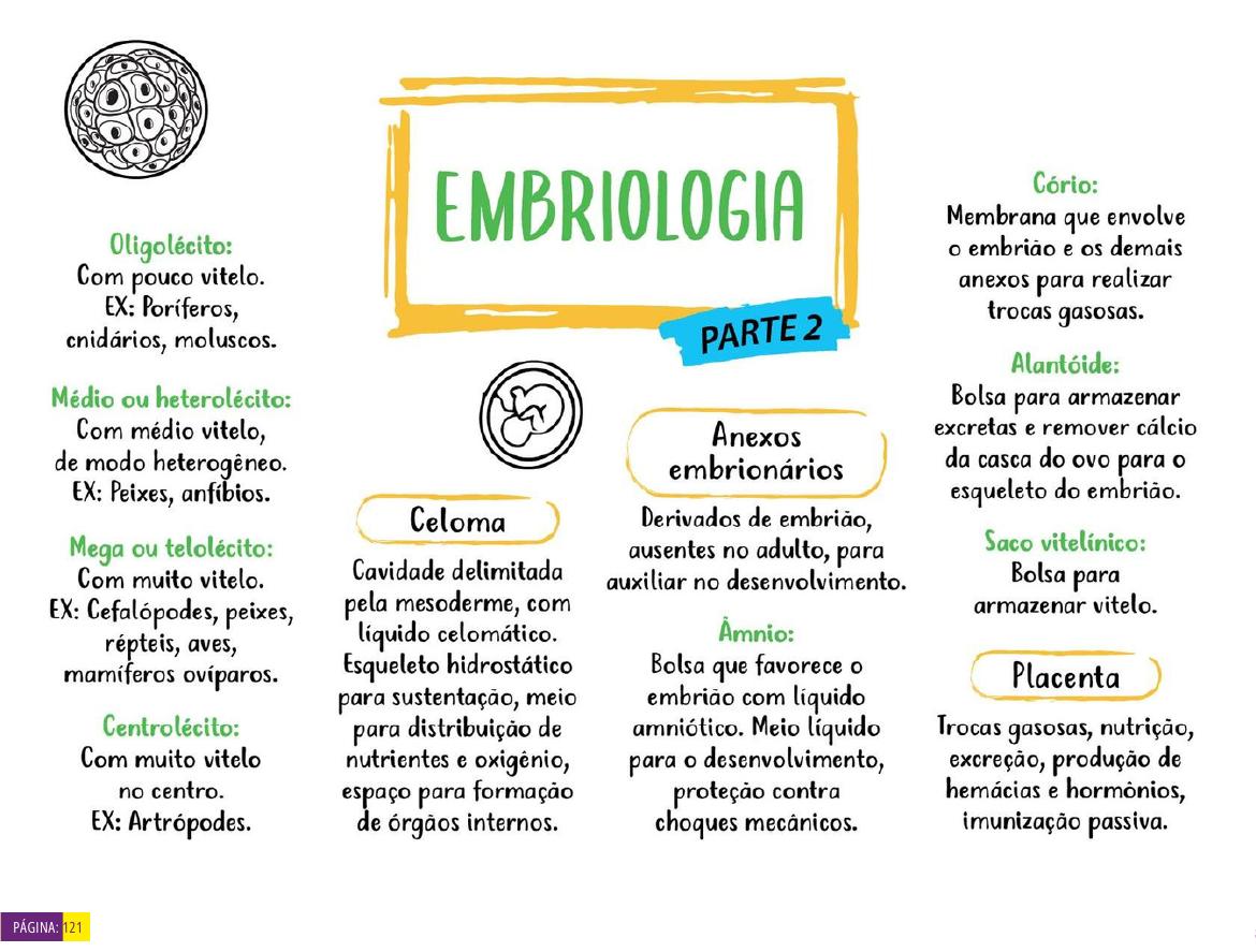 Mapa mental 5